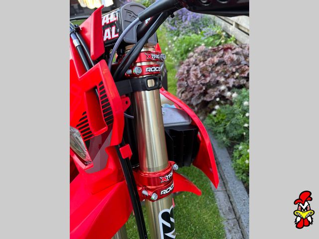 rieju - mr-300-pro