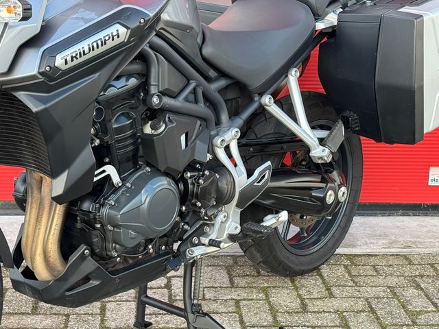 triumph - tiger-explorer