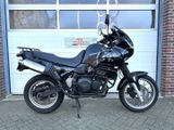 TRIUMPH TIGER 900