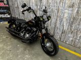 HARLEY-DAVIDSON CROSS BONES FLSTSB