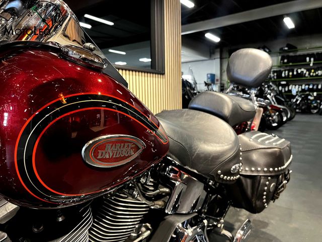 harley-davidson - springer-flsts-softail