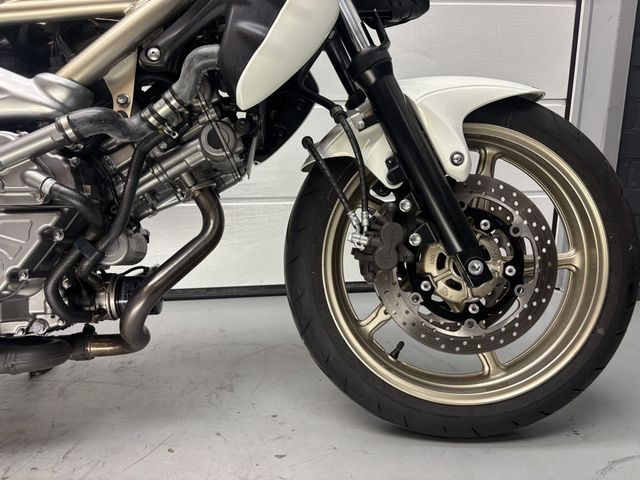 suzuki - gladius