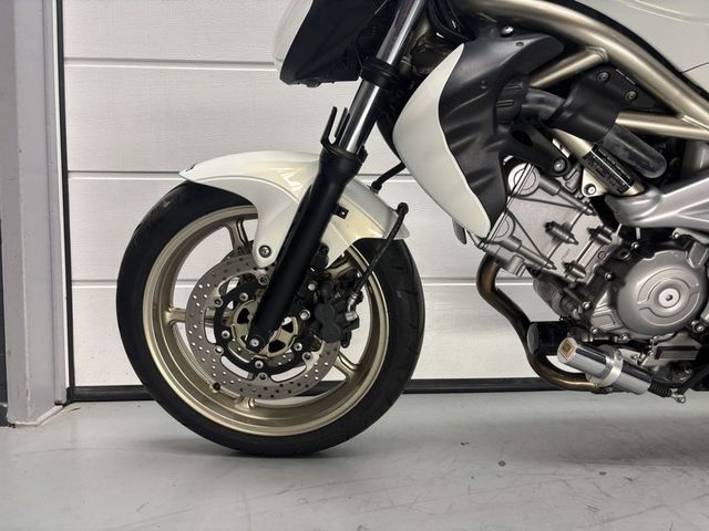 suzuki - gladius