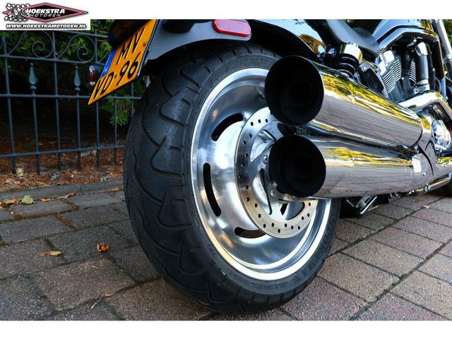 harley-davidson - night-rod-vrscd