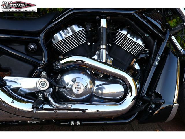 harley-davidson - night-rod-vrscd