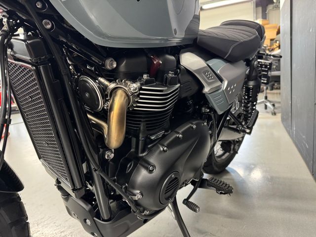 triumph - scrambler-900