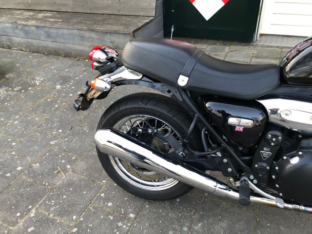 triumph - thunderbird-sport