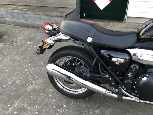 triumph - thunderbird-sport