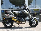 BENELLI TORNADO NAKED T
