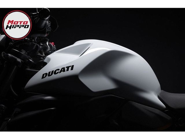 ducati - monster