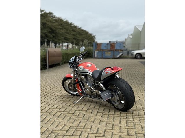 harley-davidson - night-rod-special-vrscdx