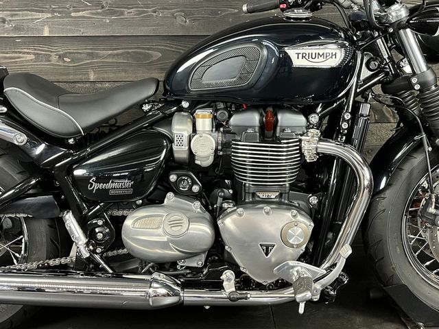 triumph - bonneville-speedmaster