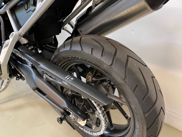 triumph - tiger-900-gt