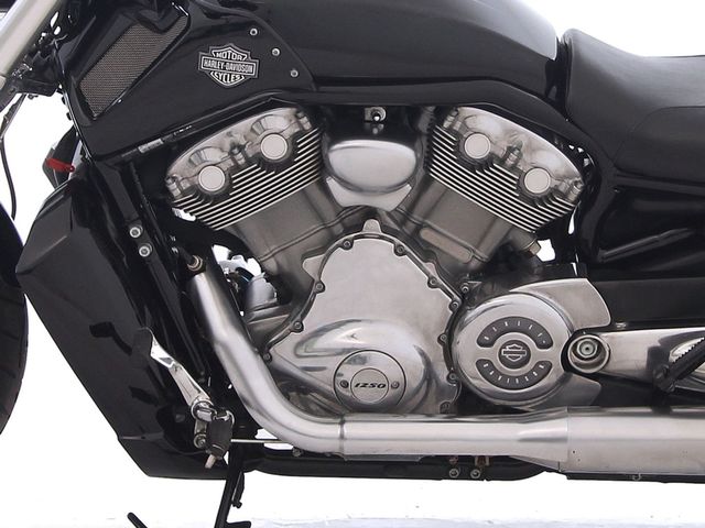 harley-davidson - v-rod-muscle-vrscf