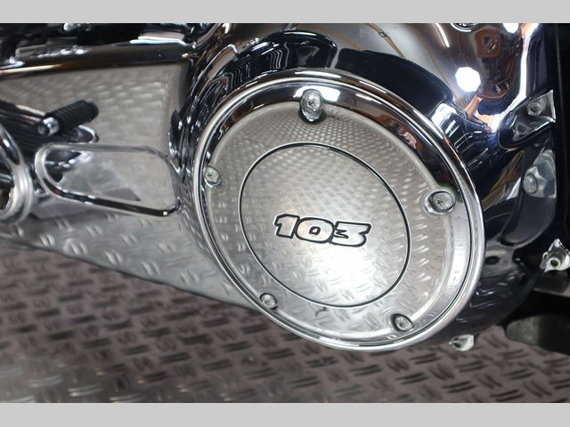 harley-davidson - softail-deluxe-flstn