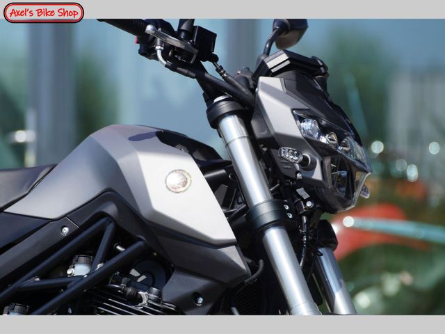 benelli - tornado-naked-t
