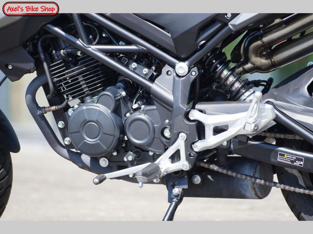 benelli - tornado-naked-t