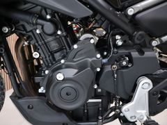 Cfmoto MT 450 2026 nieuw – foto 9 van 9