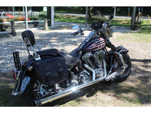 harley-davidson - springer-flsts-softail