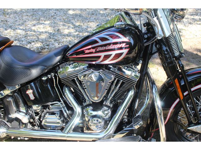 harley-davidson - springer-flsts-softail