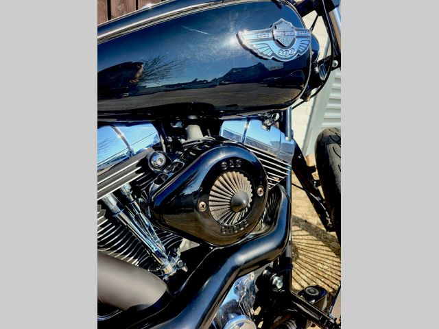 harley-davidson - softail-custom