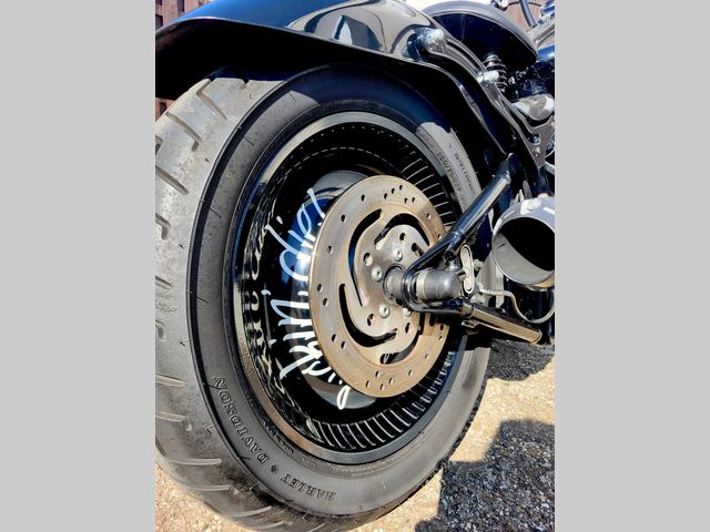 harley-davidson - softail-custom
