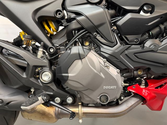 ducati - monster-plus