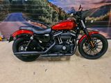 HARLEY-DAVIDSON SPORTSTER IRON XL 883 N