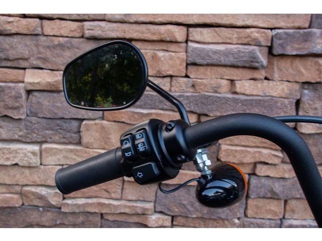 harley-davidson - softail-street-bob