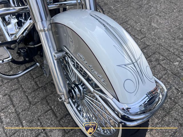 harley-davidson - deluxe--heritage-special-flstni