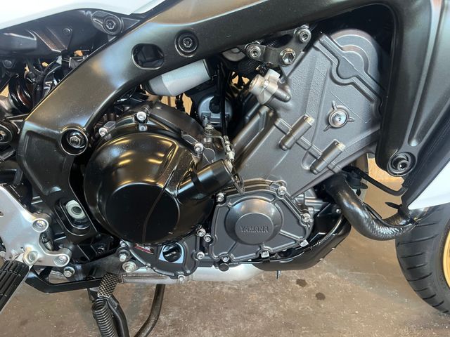 yamaha - tracer-9-gt