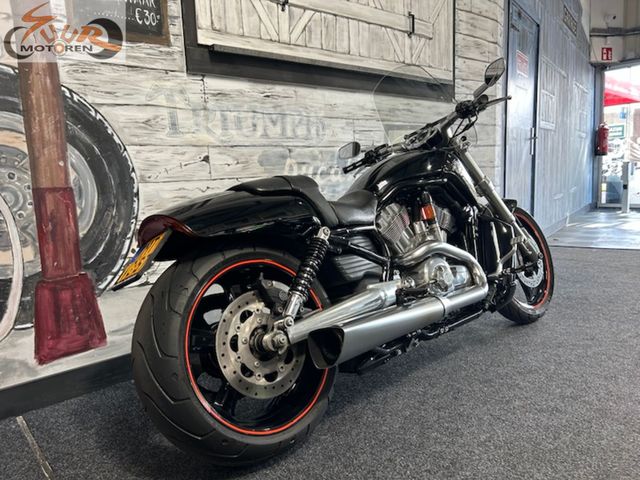 harley-davidson - night-rod-special-vrscdx