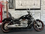 HARLEY-DAVIDSON NIGHT ROD SPECIAL VRSCDX