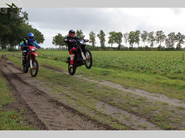 Arctic-Leopard - cheetah-exe-880