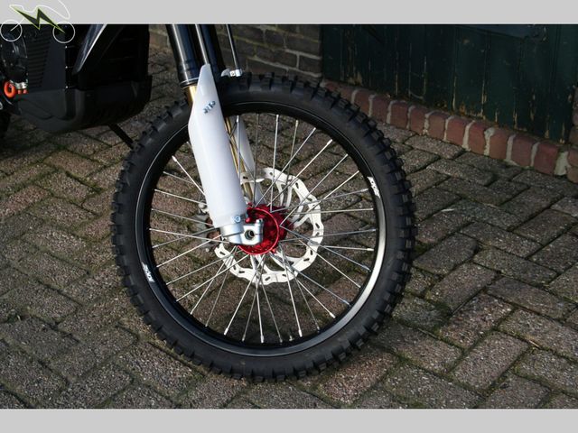 Arctic-Leopard - cheetah-exe-880