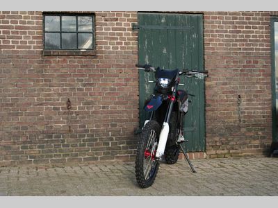ARCTIC LEOPARD CHEETAH EXE 880 – foto 3