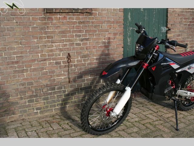 Arctic-Leopard - cheetah-exe-880