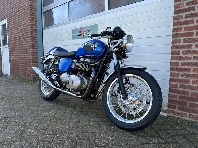 triumph - thruxton-900