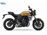 SUZUKI GSX-8T