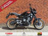 YAMAHA XSR 900