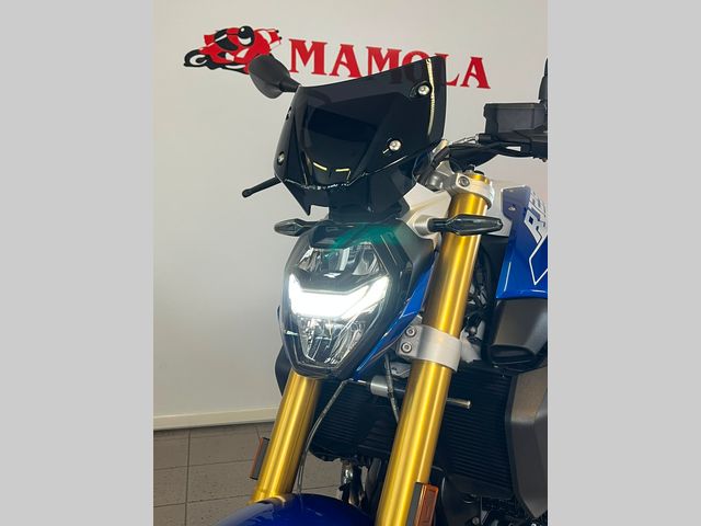 bmw - r-1250-r