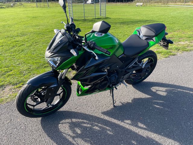 kawasaki - z-300