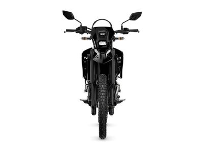 YAMAHA WR 125 R – foto 3