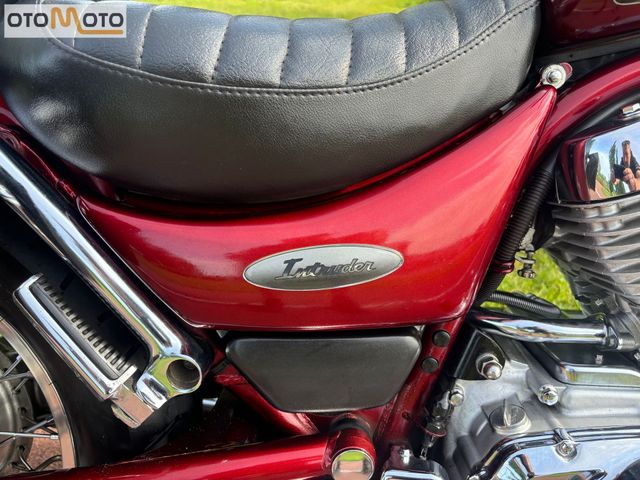 suzuki - vs-800-intruder