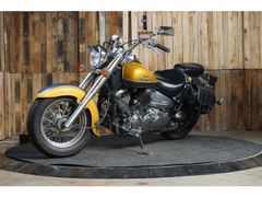 Yamaha XVS 650 Drag star Een leuke Dragstar 650 2001 occasion – foto 4 van 16