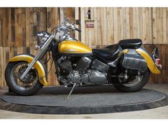 Yamaha XVS 650 Drag star Een leuke Dragstar 650 2001 occasion – foto 5 van 16