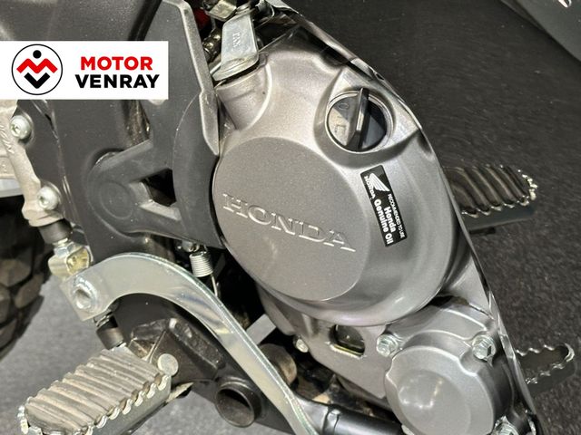 honda - crf-300-rally