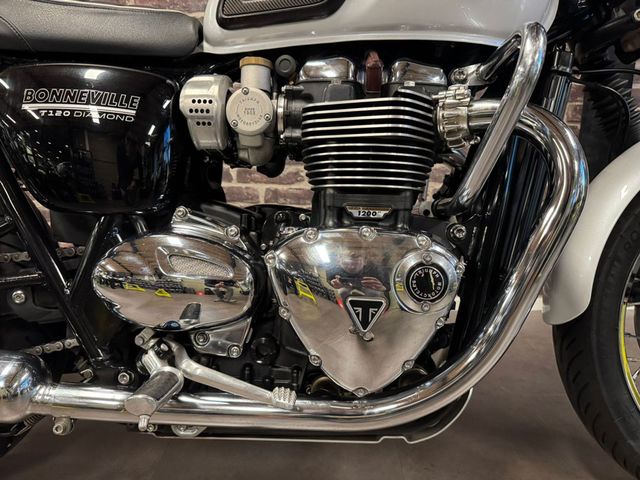 triumph - bonneville--t-120