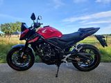 HONDA CB 500 HORNET
