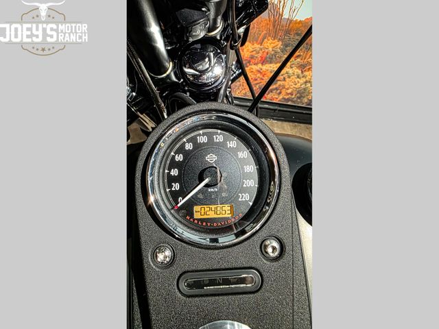 harley-davidson - street-bob-limited-edition-fxdbb